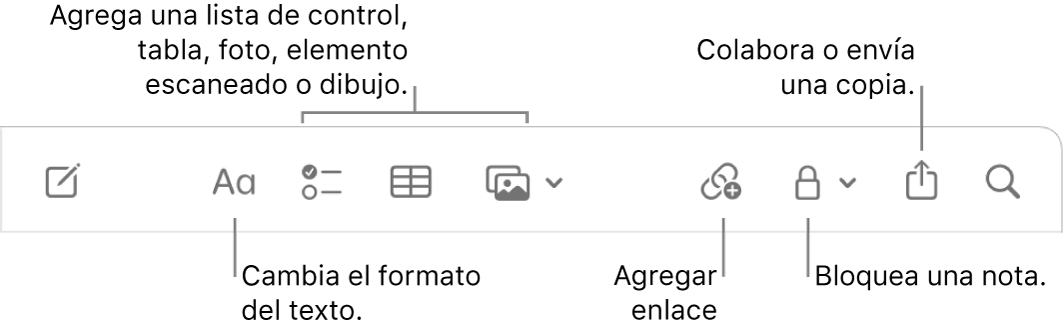 La barra de herramientas de Notas con texto indicando las herramientas de formato del texto, lista de comprobación, tabla, enlace, fotos/medios, bloqueo, compartir y enviar una copia.