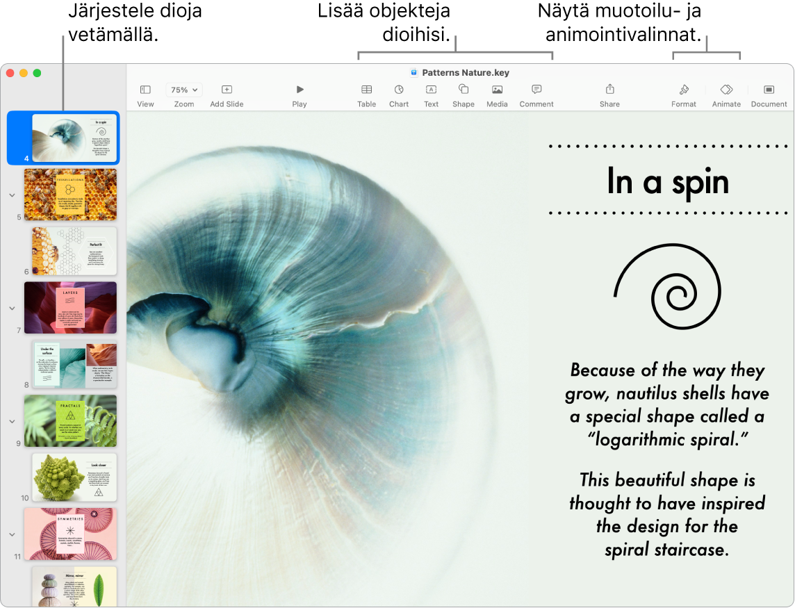 Keynote-ikkuna, jossa on vasemmalla diojen rakennenäkymä ja diojen uudelleenjärjestäminen, ylhäällä työkalupalkki ja sen muokkaustyökalut, Tee yhteistyötä -painike ylhäällä oikealla ja Muoto- ja Animoi-painikkeet oikealla.