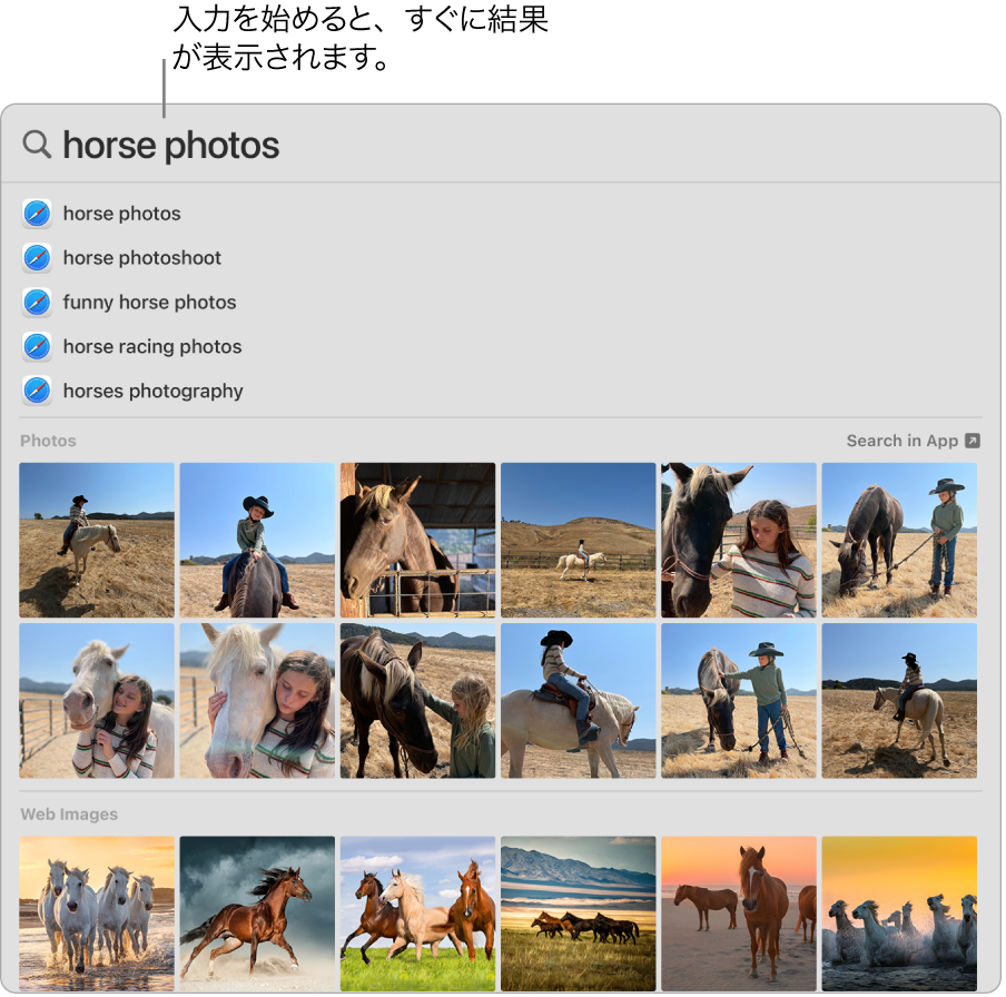 Spotlightウインドウ。「馬の写真」の検索結果が表示されています。