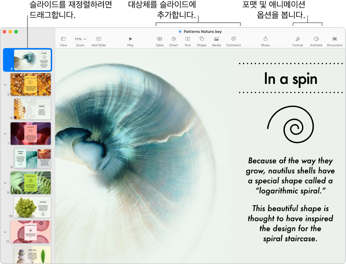 왼쪽에 슬라이드 내비게이터, 상단에 슬라이드, 도구 막대, 편집 도구 재정렬 방법, 오른쪽 상단 부근에 공동 작업 버튼, 오른쪽에 포맷 및 애니메이션 버튼이 표시된 Keynote 윈도우.