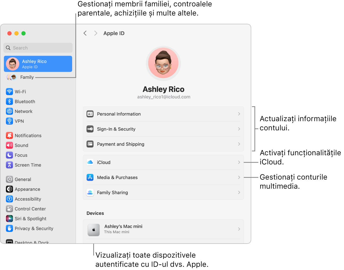 Configurările ID Apple din Configurări sistem cu explicații pentru actualizarea informațiilor contului dvs., activarea sau dezactivarea funcționalităților iCloud, gestionarea conturilor multimedia și Familie, unde puteți gestiona membrii familiei, controalele parentale, cumpărăturile și altele.