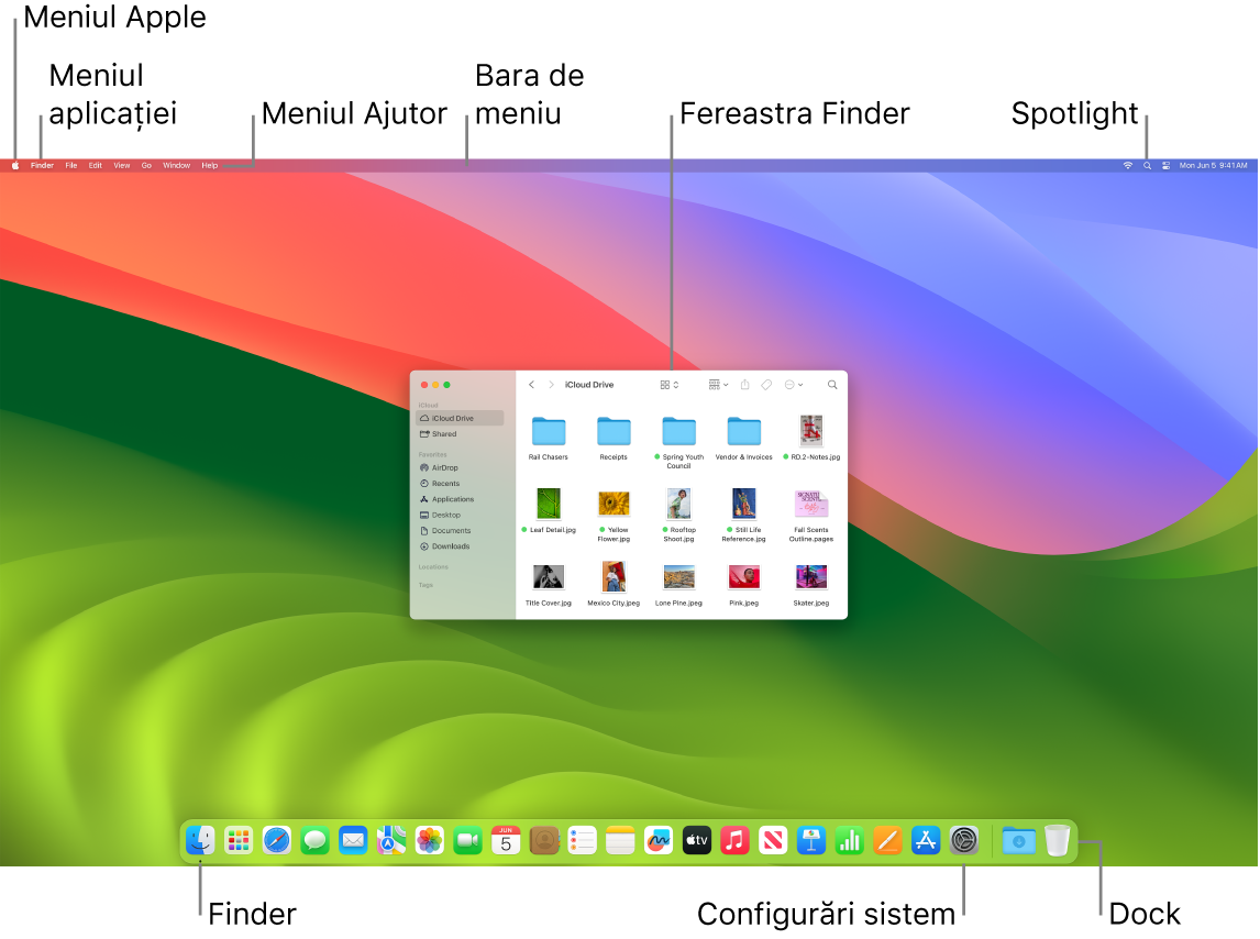 Un ecran Mac afișând meniul Apple, meniul Aplicații, meniul Ajutor, bara de meniu, o fereastră Finder, pictograma Spotlight, pictograma Finder, pictograma Configurări sistem și Dock-ul.