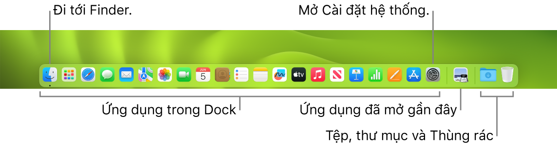 Dock, đang hiển thị Finder, Cài đặt hệ thống và đường thẳng trên Dock chia tách ứng dụng khỏi các tệp và thư mục.
