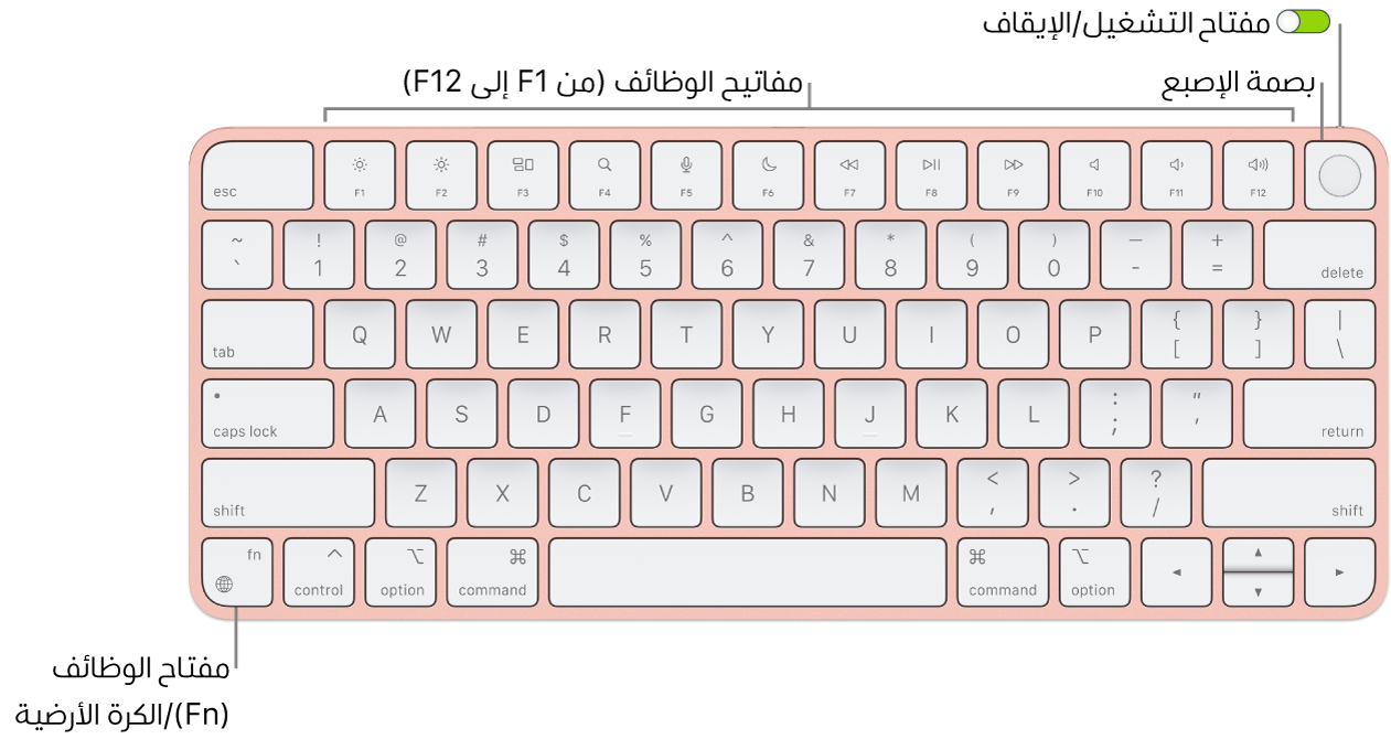 لوحة مفاتيح ماجيك المزودة ببصمة الإصبع يظهر بها صف مفاتيح الوظائف و بصمة الإصبع على امتداد الجزء العلوي، ومفتاح الوظائف (Fn)/الكرة الأرضية في الزاوية السفلية اليسرى منها.
