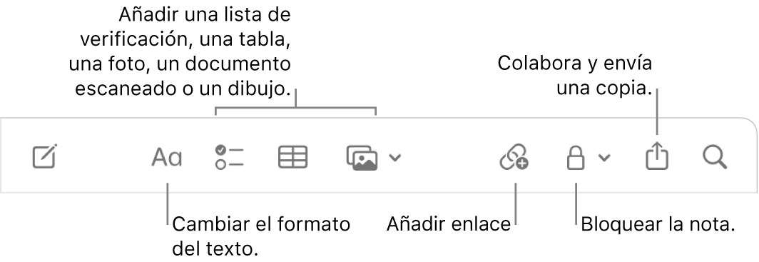 La barra de herramientas de Notas con llamadas a las herramientas de formato de texto, lista de comprobación, tabla, enlace, fotos/contenido multimedia y enviar una copia.