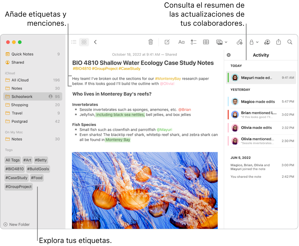 Una ventana de Notas en la vista como galería con una llamada a las etiquetas de la barra lateral. En la nota principal, hay una llamada a una etiqueta y una mención. A la derecha hay una lista de actividades con una llamada que muestra un resumen de las actualizaciones.