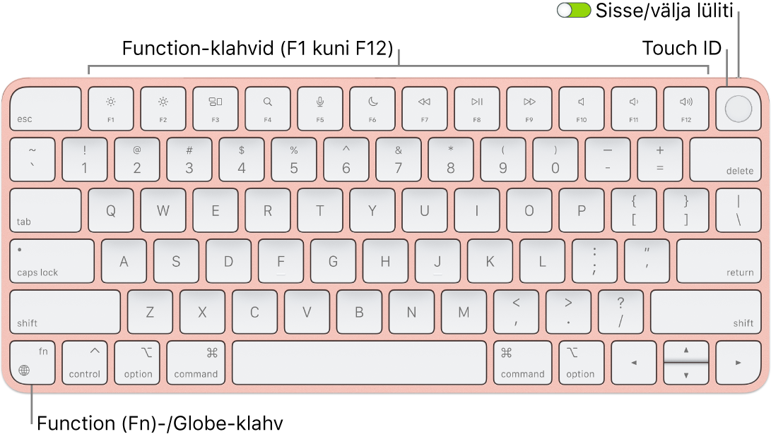 Touch ID-ga Magic Keyboard, mille ülaosas on funktsiooniklahvide rida, ülaosas Touch ID ning alumises vasakus nurgas klahv Function (Fn)/Globe.