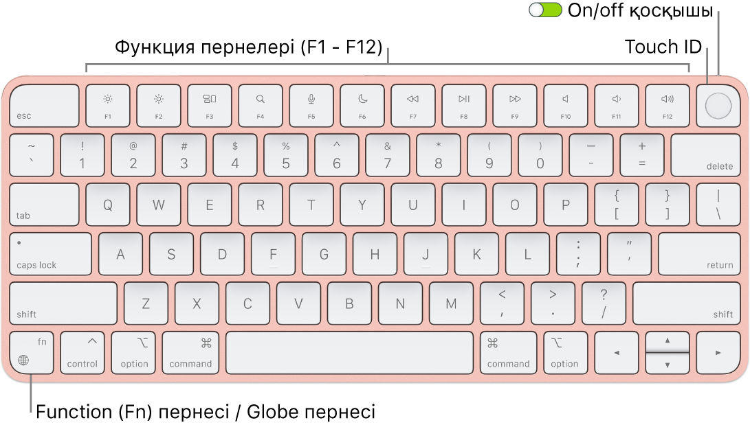 Функциялық пернелер жолын және жоғарғы жақтағы Touch ID тақтасын және төменгі сол жақ бұрышта Function (Fn)/Globe пернесін көрсетіп тұрған Touch ID құралы бар Magic Keyboard пернетақтасы.