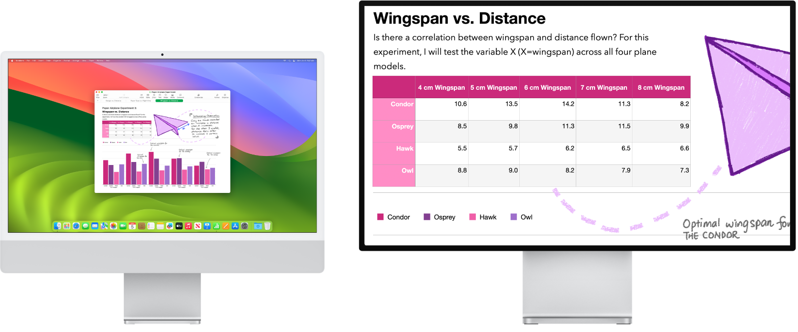 Aktyvi funkcija „Zoom Display“ dešiniajame monitoriuje, o kairiojo monitoriaus ekrano mastelis lieka nepakitęs.