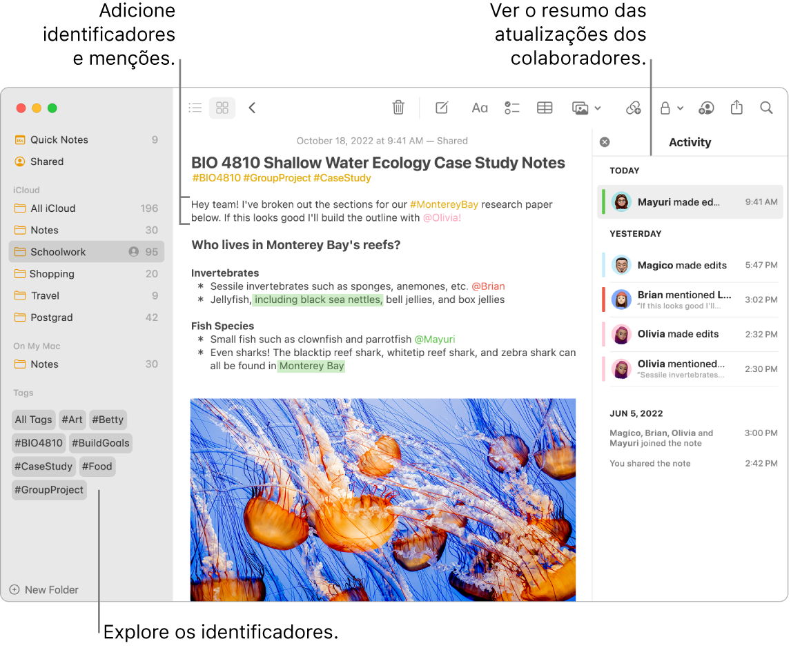 Uma janela da aplicação Notas na vista de galeria com uma chamada para identificadores na barra lateral. Na nota principal, está uma chamada para um identificador e uma menção. À direita está uma lista de atividades com uma chamada para ver um resumo das atualizações.
