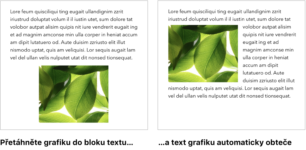 Okno Pages s ukázkou zalomení textu okolo grafiky