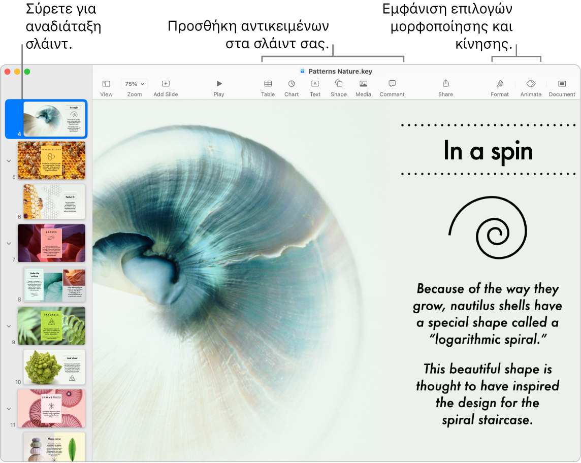 Ένα παράθυρο του Keynote όπου εμφανίζεται η πλοήγηση σλάιντ στα αριστερά και ο τρόπος αναδιάταξης των σλάιντ, η γραμμή εργαλείων και τα εργαλεία επεξεργασίας της στο πάνω μέρος, το κουμπί «Συνεργασία» κοντά στην πάνω δεξιά πλευρά, και τα κουμπιά «Μορφή» και «Προσθήκη κίνησης» στα δεξιά.