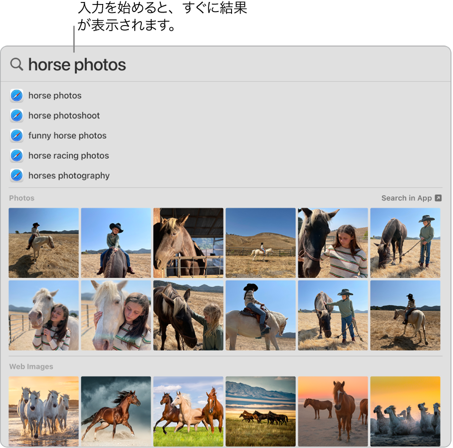 Spotlightウインドウ。「馬の写真」の検索結果が表示されています。
