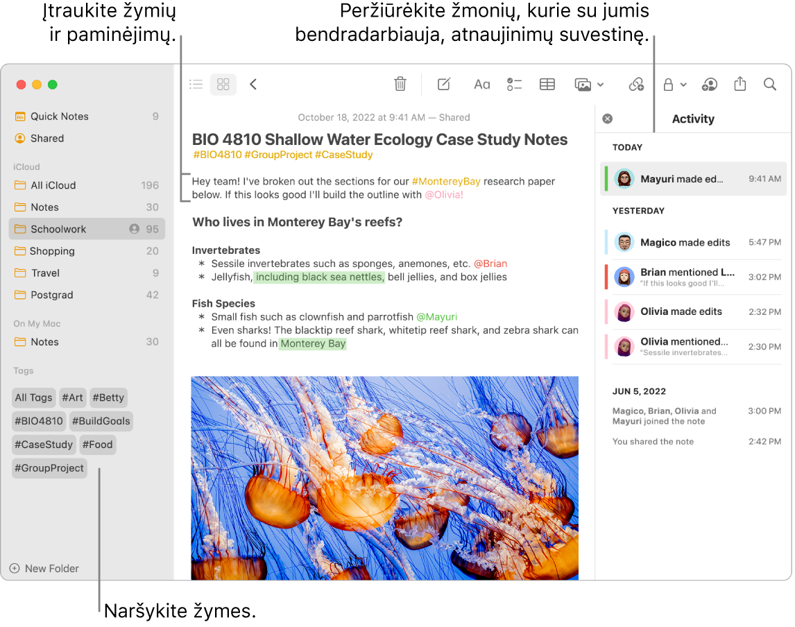 Langas „Notes“ rodinyje „Gallery“ su išnaša į šoninėje juostoje esančias žymes. Pagrindinėje pastaboje yra išnaša į žymę ir paminėjimą. Dešinėje yra veiklos sąrašas su išnaša į naujinimų suvestinės rodinį.