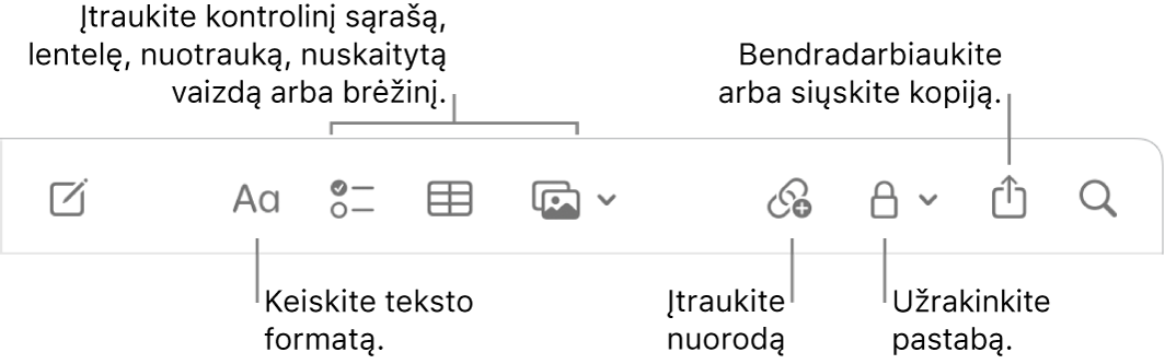 „Notes“ įrankių juosta su išnašomis į teksto formatavimo, kontrolinio sąrašo, lentelės, nuorodos, nuotraukų / turinio, užrakinimo, bendrinimo ir kopijos siuntimo priemones.