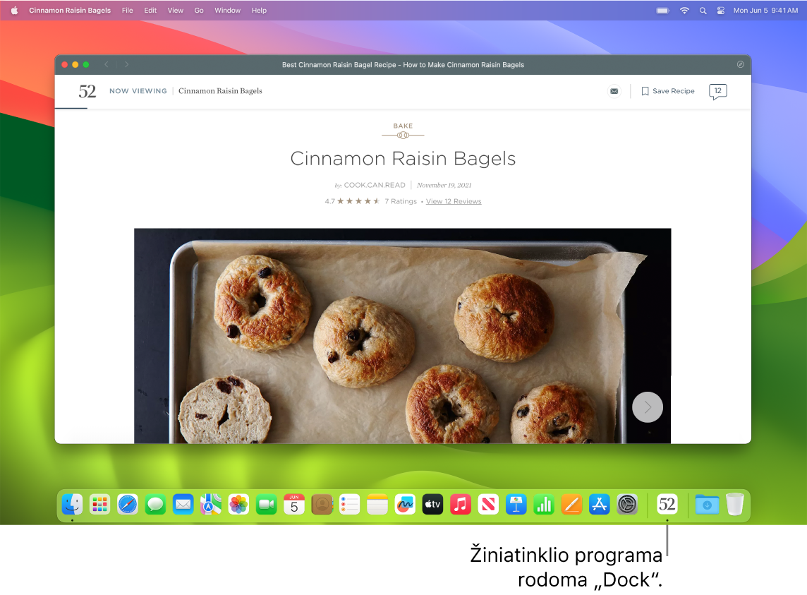 Atidaryta svetainės programa ir jos piktograma „Dock“ juostoje.