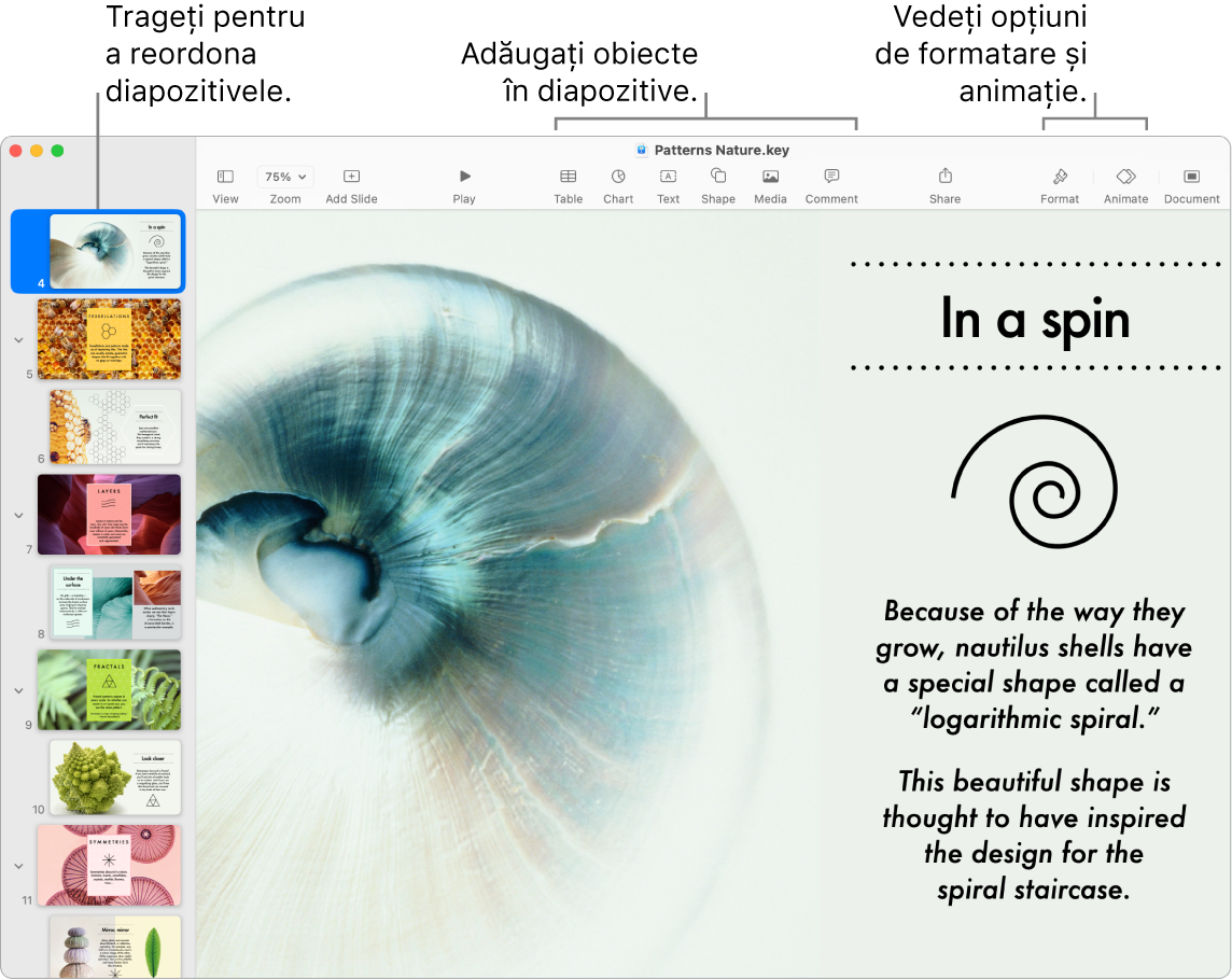 O fereastră Keynote afișând navigatorul de diapozitive în stânga și modul de reordonare a diapozitivelor, bara de instrumente cu instrumentele de editare în partea de sus, butonul Colaborează lângă partea din dreapta sus și butoanele Format și Animare în dreapta.