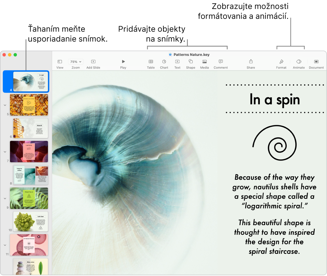 Okno Keynote zobrazujúce navigátor medzi snímkami naľavo a ako preusporiadať snímky, panel s nástrojmi a jeho nástroje úprav v hornej časti, tlačidlo Spolupracovať v pravej hornej časti a tlačidlá Formátovať a Animovať napravo.