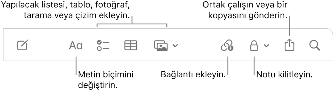 Metin biçimi belirtme çizgileri, yapılacaklar listesi, tablo, bağlantı, fotoğraflar/ortam, kilitleme, paylaşma ve kopya gönderme araçları ile Notlar araç çubuğu.