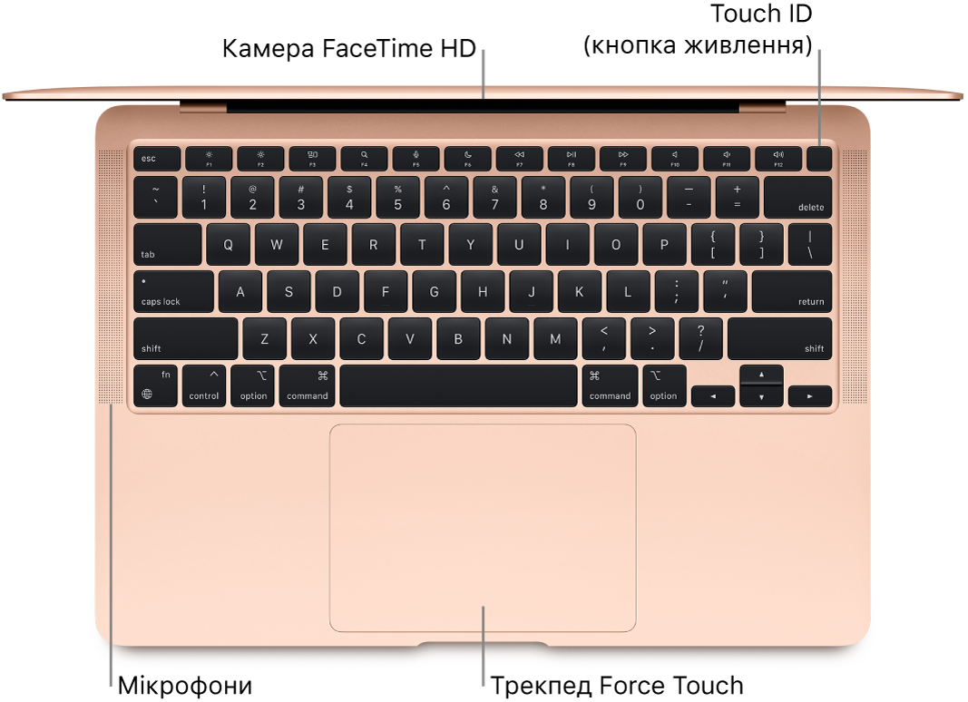 Погляд зверху на відкритий MacBook Air із виносками на камеру FaceTime HD, Touch ID (кнопка живлення), мікрофони та трекпед Force Touch.