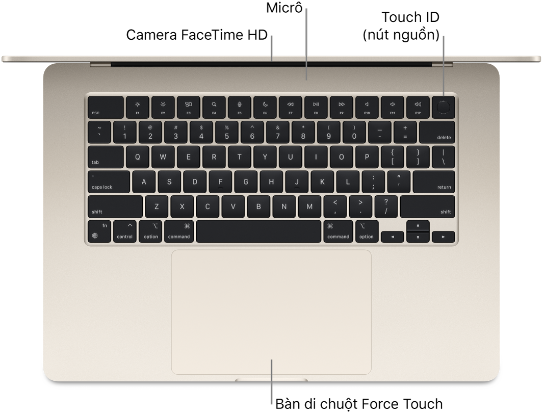 Một MacBook Air đang mở, nhìn từ phía trên, với các chú thích đến camera FaceTime HD, các micrô, Touch ID (nút nguồn) và bàn di chuột Force Touch.