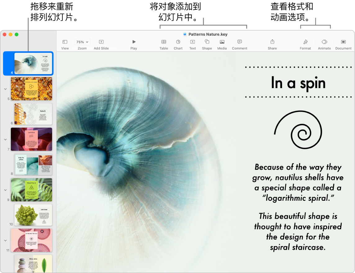 Keynote 讲演窗口,左侧显示幻灯片导航器和如何重新排序幻灯片,顶部是工具栏及其编辑工具,右上方附近是“协作”按钮,右侧是“格式”和“动画效果”按钮。
