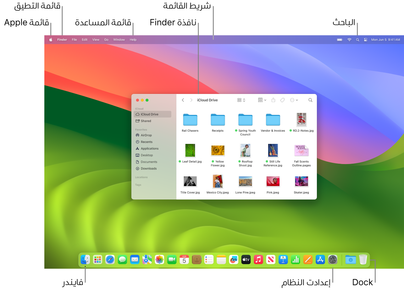 شاشة Mac تعرض قائمة Apple وقائمة التطبيق وقائمة المساعدة ونافذة فايندر وشريط القائمة وأيقونة الباحث وأيقونة فايندر وأيقونة إعدادات النظام وشريط الأيقونات.