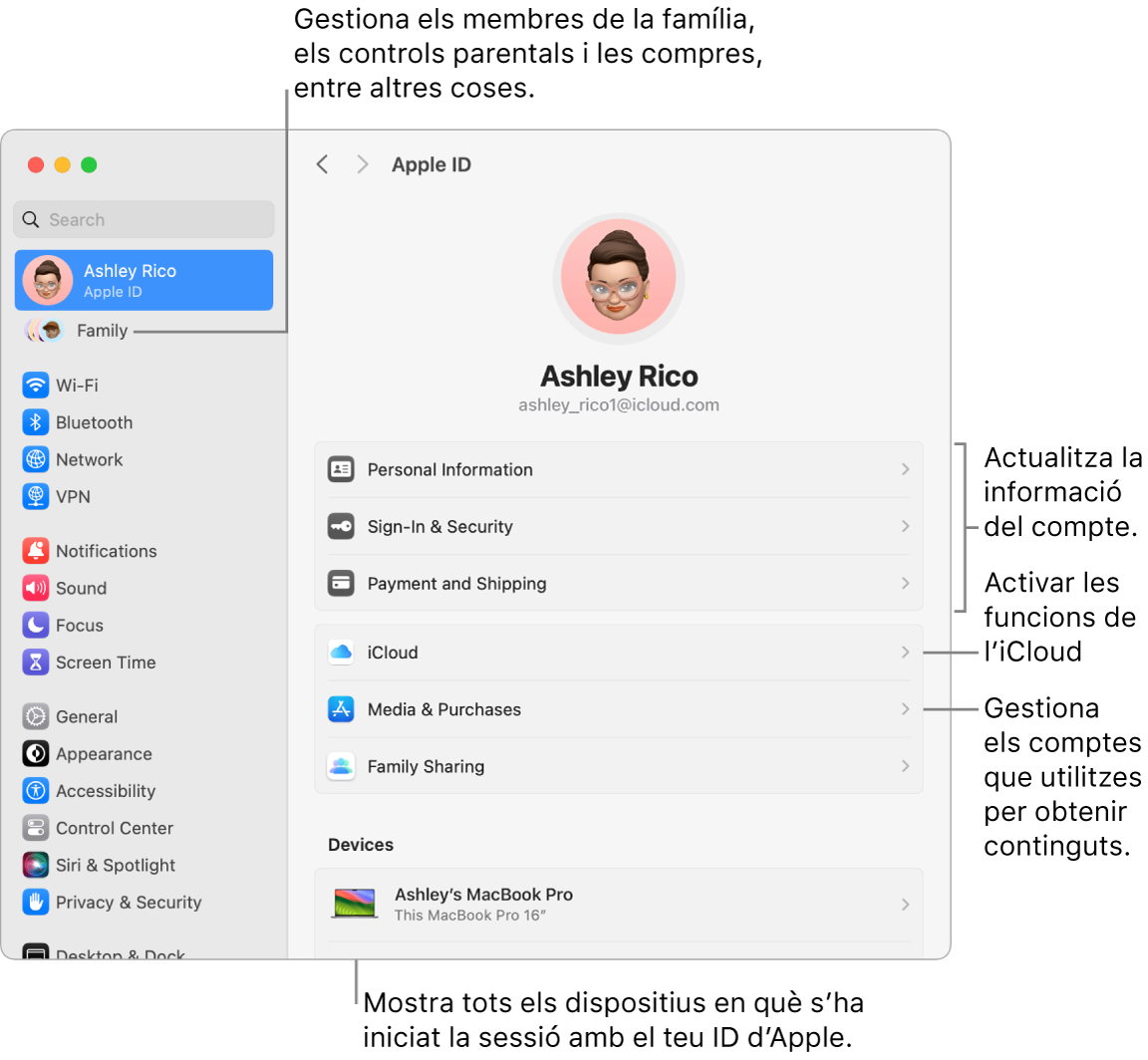 A la configuració del sistema, es veu la secció de l’ID d’Apple, amb opcions per actualitzar la informació del compte, activar o desactivar les funcions de l’iCloud o gestionar els comptes de contingut multimèdia, i la secció “En família”, amb opcions per configurar un grup familiar, establir controls parentals i administrar les compres, entre altres coses.