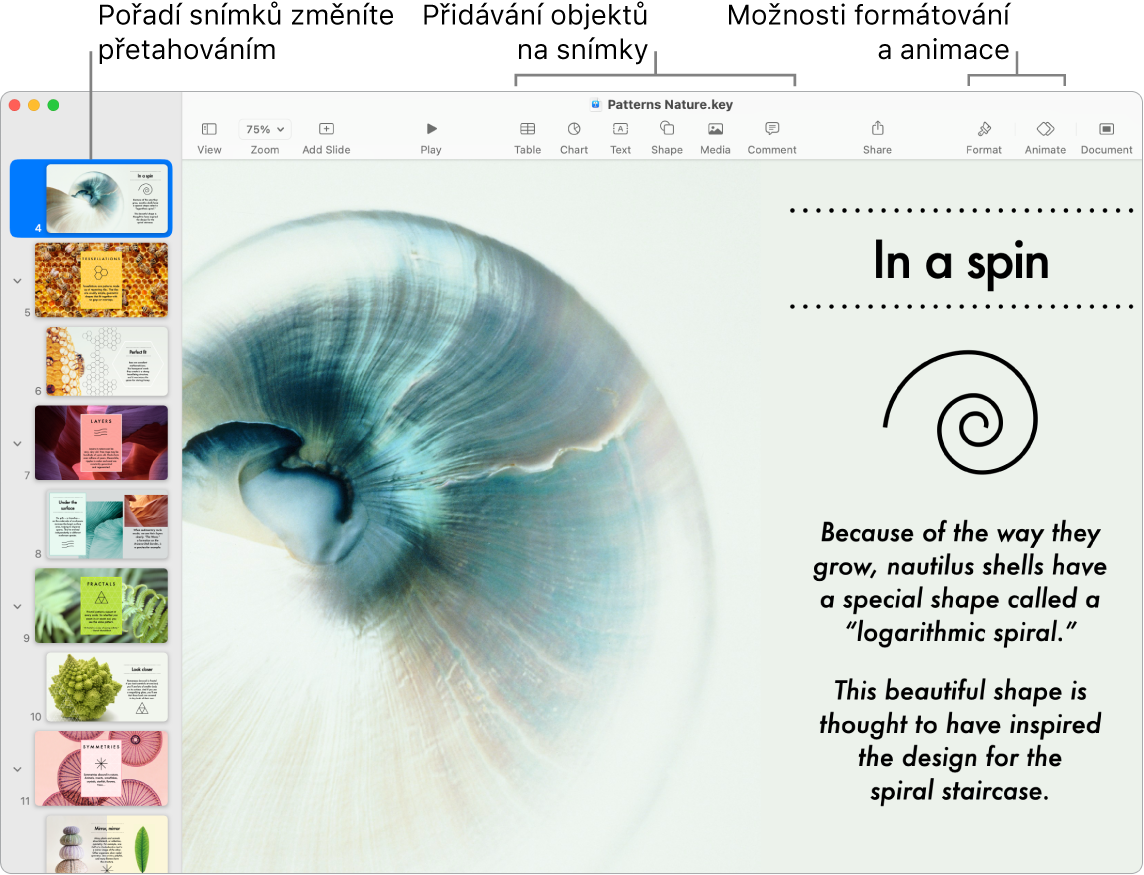 Okno aplikace Keynote se snímkovým navigátorem a s pokyny pro změnu pořadí snímků na levé straně, panelem nástrojů pro úpravy nahoře, tlačítkem Spolupracovat poblíž pravého horního rohu a tlačítky Formát a Animace vpravo