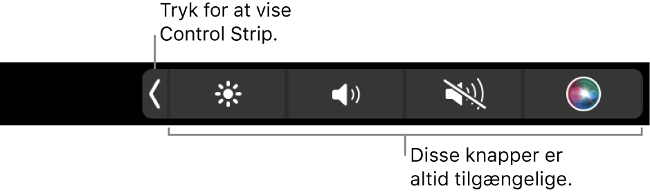 En del af en skærm med den standardindstillede Touch Bar, der viser den skjulte Control Strip med følgende knapper, som altid er tilgængelige: lysstyrke, lydstyrke og lydløs. Tryk på udvidknappen for at se hele Control Strip.