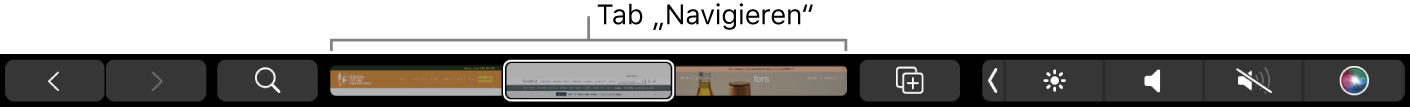 Die Safari-Touch Bar mit Vorwärts- und Rückwärtspfeil, der Suchtaste, der Tab-Navigationsleiste sowie der Taste zum Hinzufügen eines Lesezeichens.