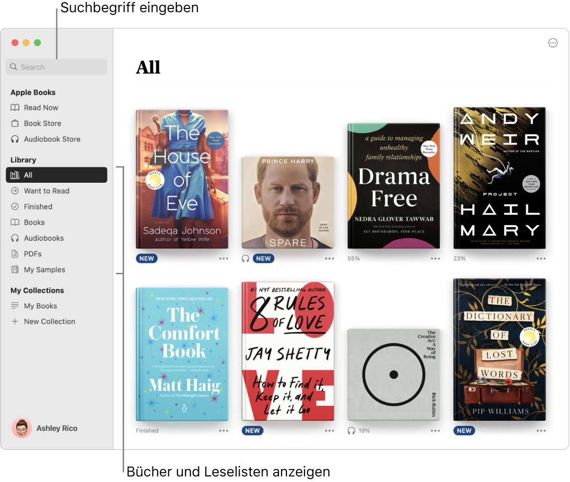 Ein Fenster der App „Bücher“ mit Informationen zum Anzeigen von Büchern, zum Blättern in kuratierten Inhalten und zum Suchen.