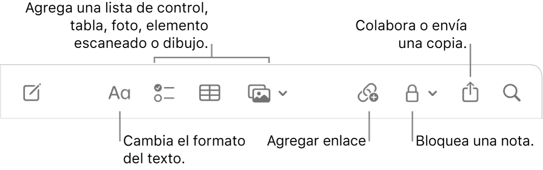 La barra de herramientas de Notas con texto indicando las herramientas de formato del texto, lista de comprobación, tabla, enlace, fotos/medios, bloqueo, compartir y enviar una copia.