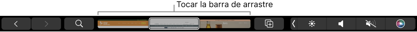 Touch Bar de Safari con las flechas Atrás y Adelante, el botón de búsqueda, la barra de arrastre de pestañas y el botón "Agregar marcador".
