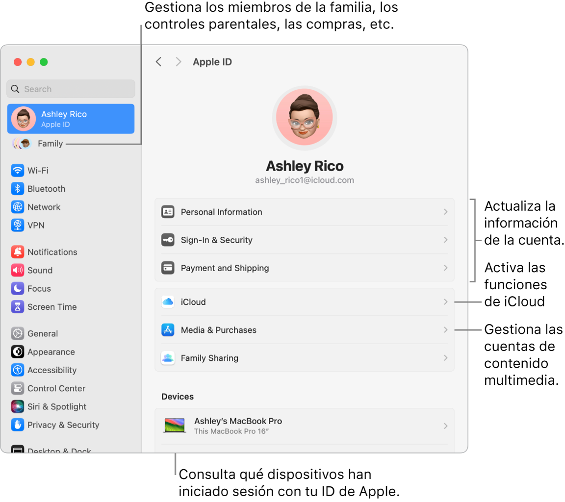 Los ajustes del ID de Apple en Ajustes del Sistema con llamadas para actualizar la información de la cuenta, activar o desactivar las funciones de iCloud, gestionar las cuentas de redes sociales y Familia, donde puedes gestionar los miembros de la familia, el control parental, las compras y mucho más.