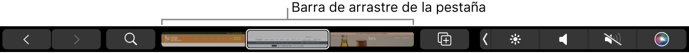 La Touch Bar de Safari con las flechas hacia delante y hacia atrás, el botón de búsqueda, la barra de arrastre de pestañas y el botón “Añadir marcador”.
