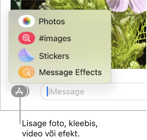 Apps-menüü valikutega fotode, kleebiste, GIFide ja sõnumiefektide kuvamiseks.