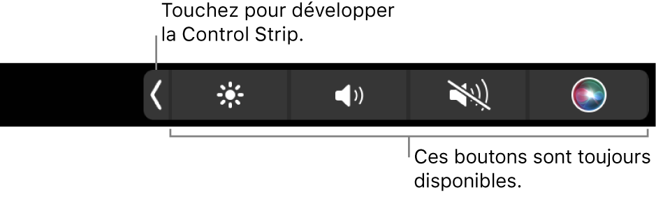 Un écran partiel de la Touch Bar par défaut, affichant la Control Strip réduite avec ses boutons disponibles en toutes circonstances, quelle que soit l’app utilisée : ceux permettant d’ajuster la luminosité, de régler le volume et d’activer ou de désactiver le son. Touchez le bouton de développement pour afficher toute la <NoBreak change_bar="mark">Control Strip</NoBreak>.