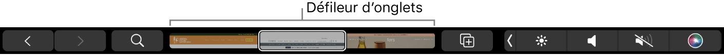 Touch Bar de Safari affichant les flèches pour avancer ou reculer, le bouton de recherche, le défileur des onglets et le bouton Ajouter un signet.