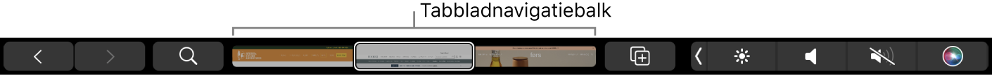 De Touch Bar voor Safari met de pijlen voor vooruit en achteruit, de zoekknop, de tabbladnavigatiebalk en de knop voor het toevoegen van bladwijzers.