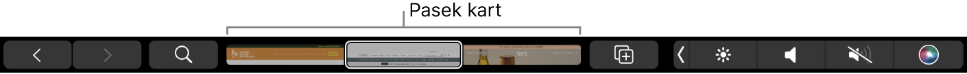 Pasek Touch Bar w Safari z przyciskami: przejścia dalej i wstecz, wyszukiwania, paska kart oraz dodawania zakładki.