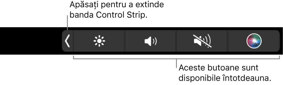 Un ecran parțial cu Touch Bar implicit, prezentând banda Control Strip restrânsă cu butoanele care sunt întotdeauna disponibile: luminozitate, volum și mod mut. Atingeți butonul de extindere pentru a afișa banda Control Strip completă.