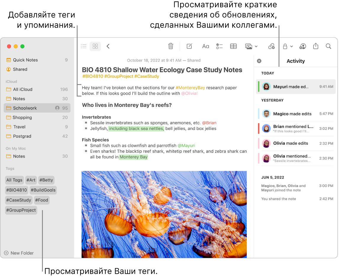 Окно приложения «Заметки». В нем открыта галерея и выноской показаны теги в боковом меню. В тексте заметки выноской показаны тег и упоминание. Справа — панель «Активность», в ней выноской показана краткая информация об изменениях, внесенных в заметку.