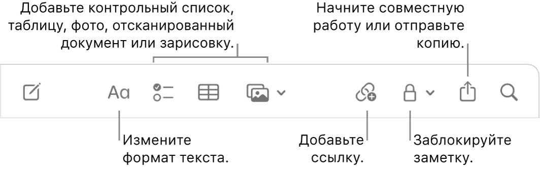 Панель инструментов в приложении «Заметки». Выносками отмечены инструменты форматирования, добавления списка, таблицы, ссылки, мультимедиа, кнопка для установки пароля, кнопка «Поделиться» и кнопка «Отправить копию».