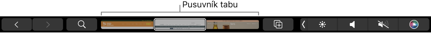 Touch Bar pre Safari so šípkami na prechádzanie stránok dopredu a dozadu, tlačidlom na vyhľadávanie, posuvníkom tabov a tlačidlom Pridať záložku.