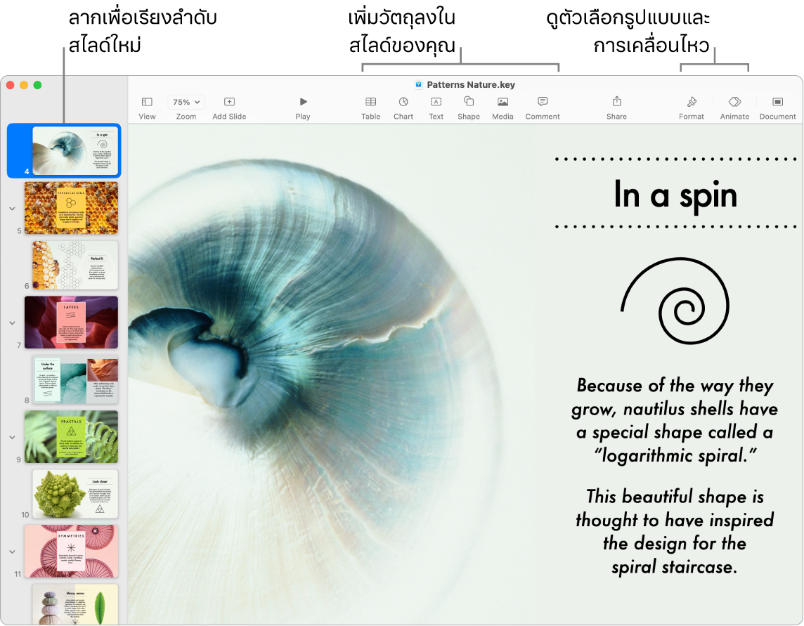 หน้าต่าง Keynote ที่แสดงแถบนำทางสไลด์ทางด้านซ้ายและวิธีจัดลำดับสไลด์ใหม่ แถบเครื่องมือและเครื่องมือการแก้ไขของแถบเครื่องมือที่ด้านบนสุด ปุ่มใช้งานร่วมกันที่อยู่ใกล้กับด้านขวาบนสุด และปุ่มรูปแบบและปุ่มเคลื่อนไหวทางด้านขวา