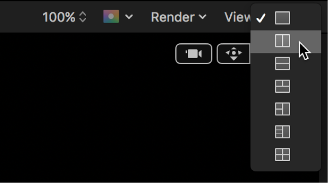 Viewport options in the canvas
