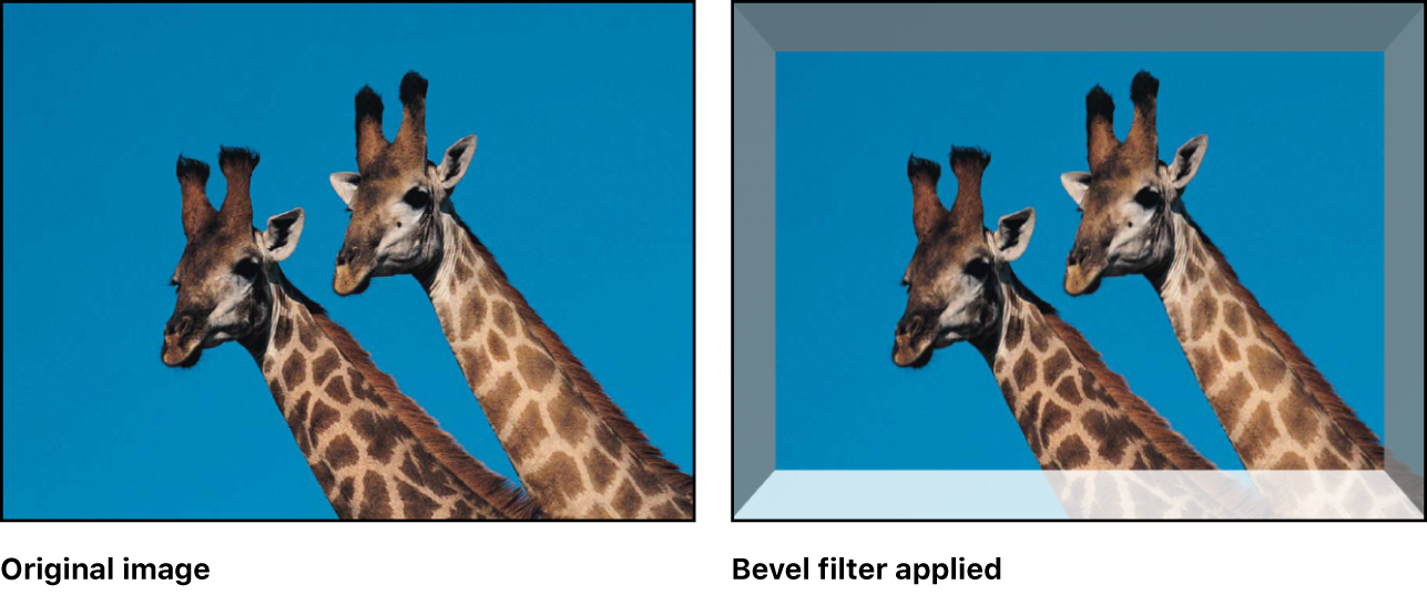 Canvas showing effect of Bevel filter