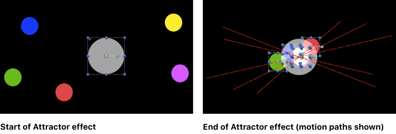 Canvas showing example of Attractor behavior
