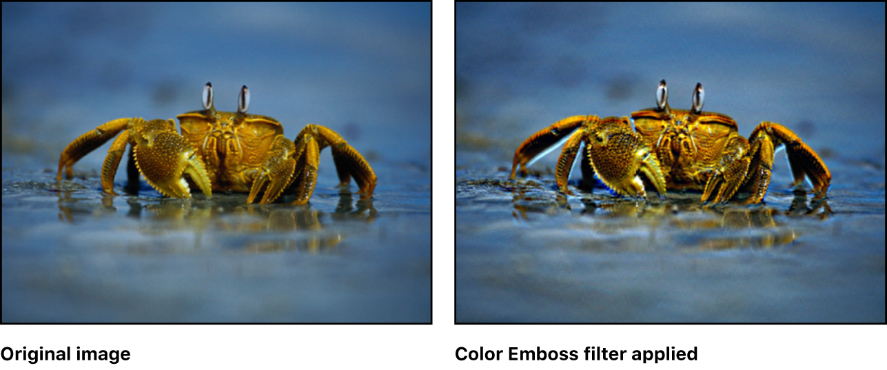 Canvas showing effect of Color Emboss filter